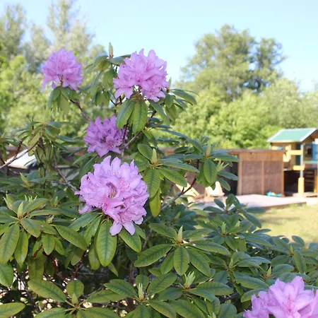 Lägenhet Vierburg Bützow