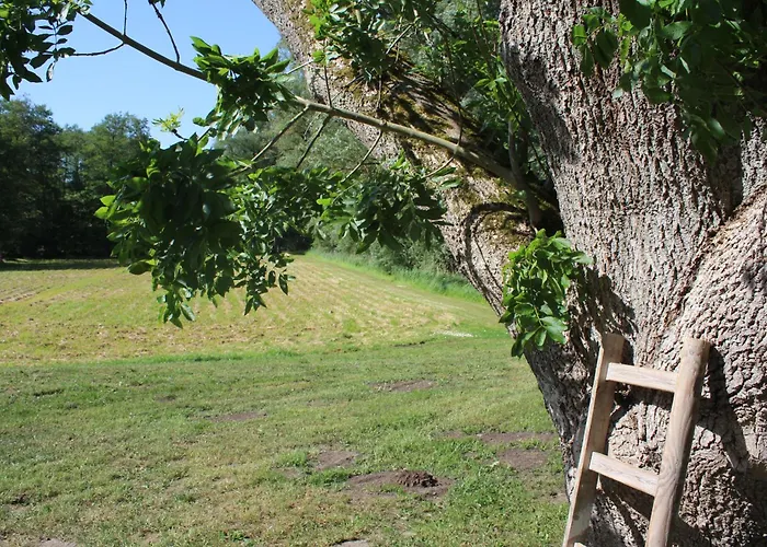 アパート Vierburg *