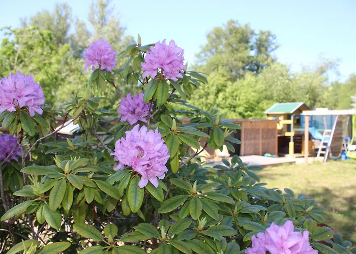 アパート Vierburg Bützow